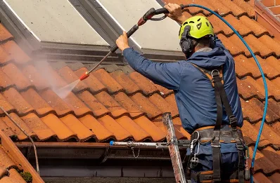 Démoussage et hydrofuge de toiture à Royer
